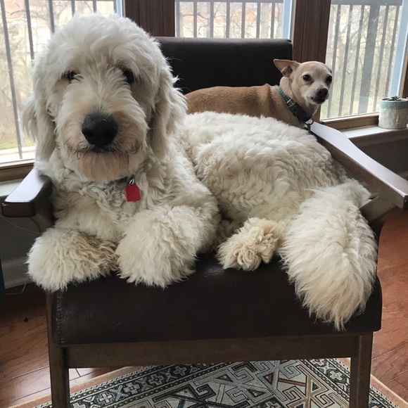 Meet your Posher, Stephanie - Picture 16 of 17